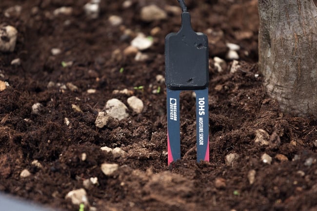 Sensori per IoT