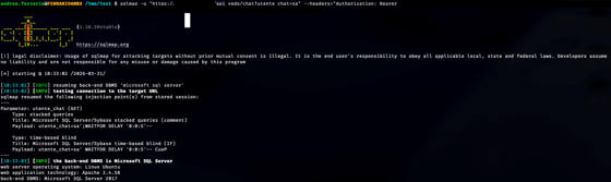 sqlmap confirming the injectable parameter and identifying available techniques (stacked queries, time-based blind).