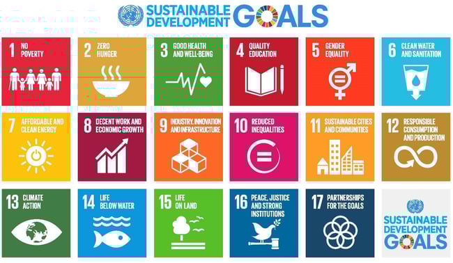 Sustainable Development Goals - SDGs definiti dall'ONU