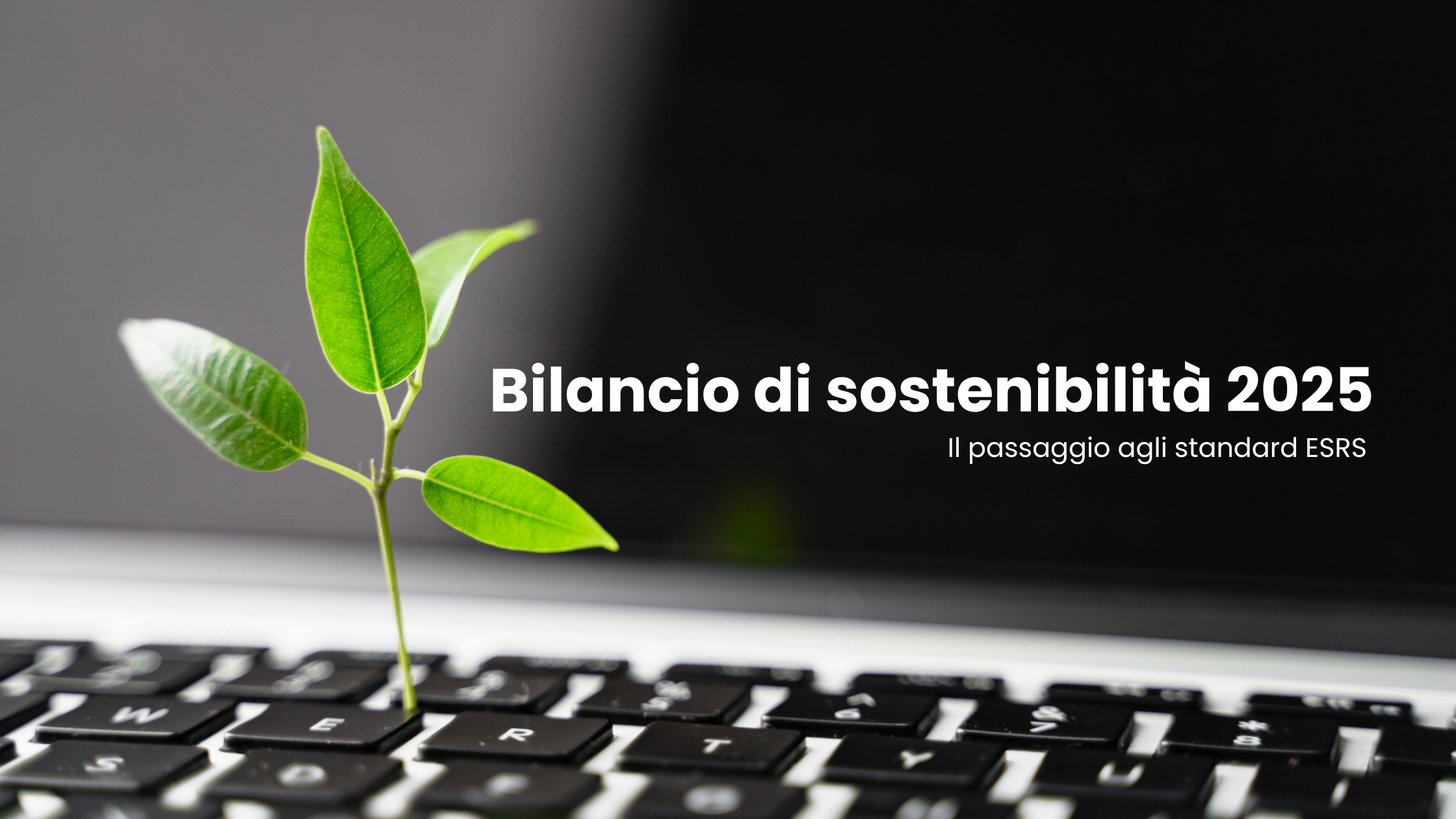 Bilancio di Sostenibilità 2025: il passaggio di Elmec dagli standard GRI agli ESRS